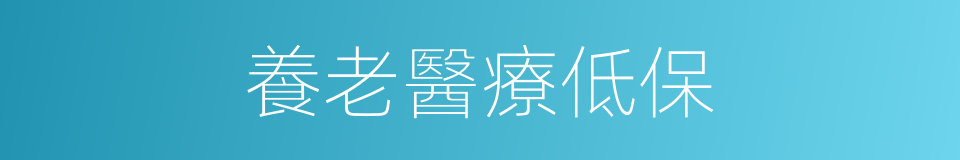 養老醫療低保的同義詞