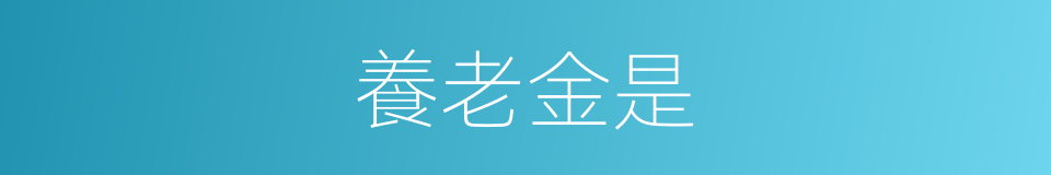 養老金是的意思