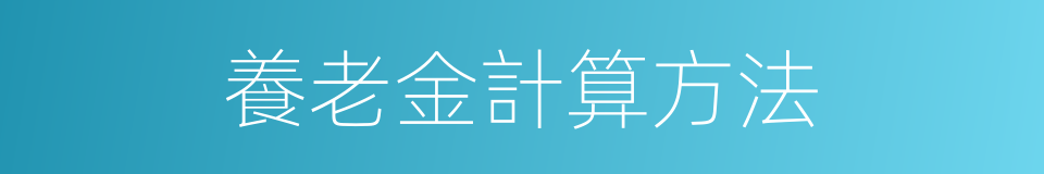 養老金計算方法的同義詞