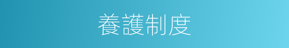 養護制度的同義詞