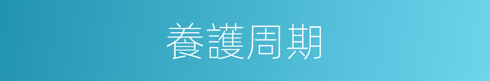 養護周期的同義詞