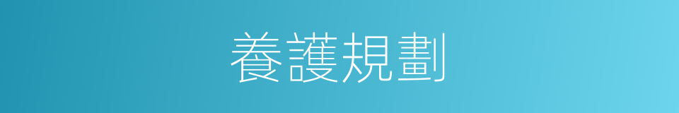 養護規劃的同義詞