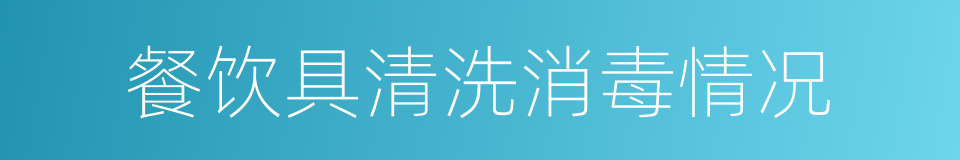 餐饮具清洗消毒情况的同义词