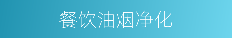 餐饮油烟净化的同义词