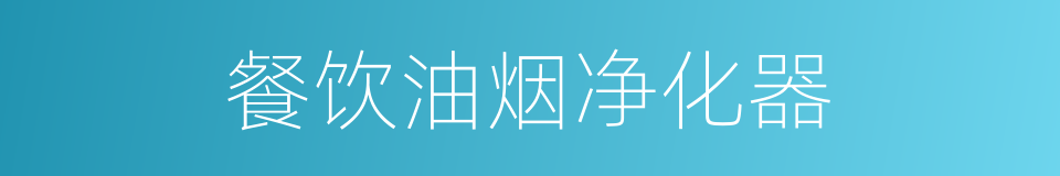 餐饮油烟净化器的同义词