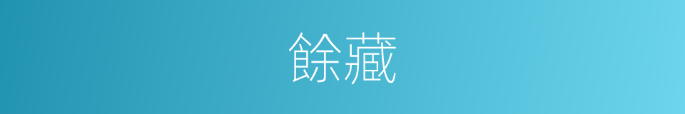 餘藏的意思