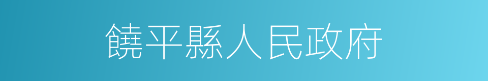 饒平縣人民政府的同義詞