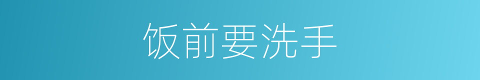 饭前要洗手的同义词