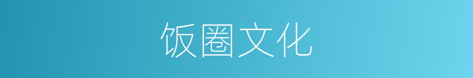 饭圈文化的同义词