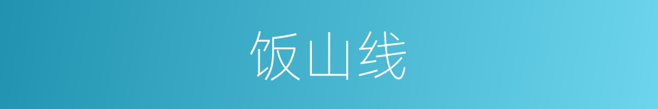 饭山线的同义词