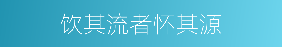 饮其流者怀其源的同义词