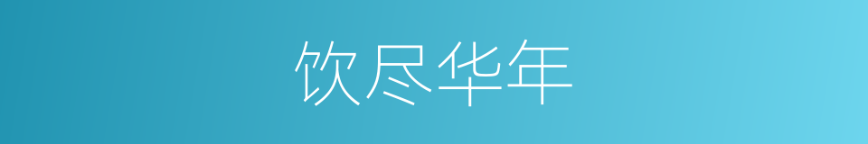 饮尽华年的同义词