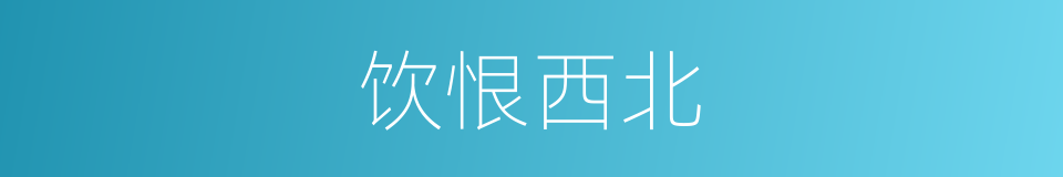 饮恨西北的同义词