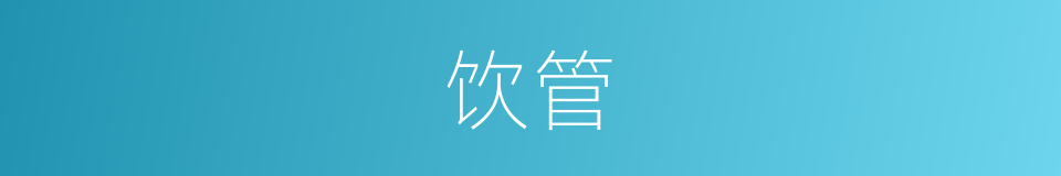 饮管的同义词