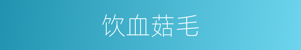 饮血菇毛的意思