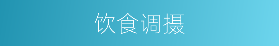 饮食调摄的同义词