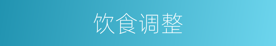 饮食调整的同义词