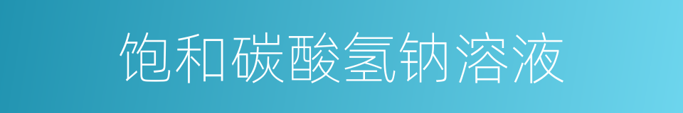 饱和碳酸氢钠溶液的同义词