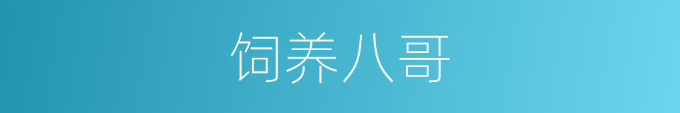 饲养八哥的同义词