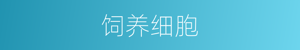 饲养细胞的同义词