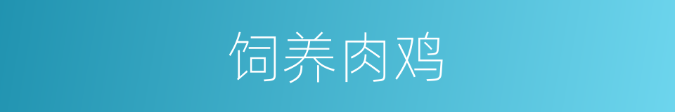 饲养肉鸡的同义词