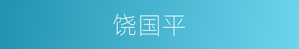 饶国平的同义词