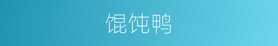 馄饨鸭的同义词