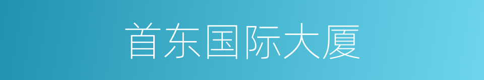 首东国际大厦的同义词