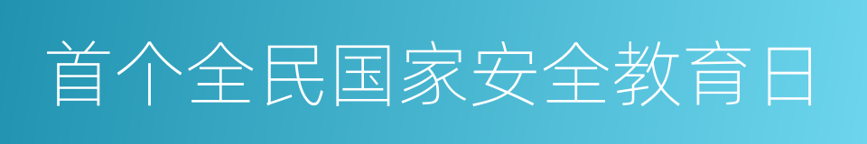 首个全民国家安全教育日的同义词