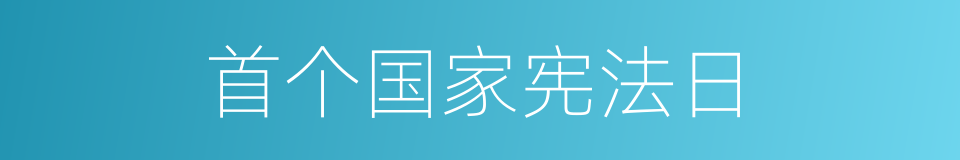 首个国家宪法日的同义词