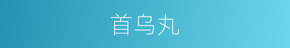 首乌丸的同义词