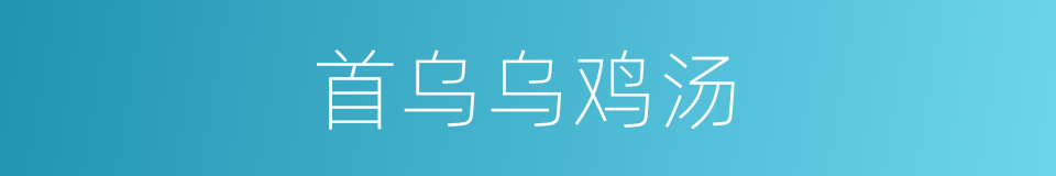 首乌乌鸡汤的同义词