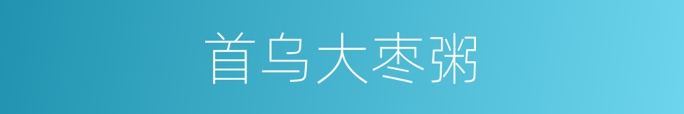 首乌大枣粥的同义词