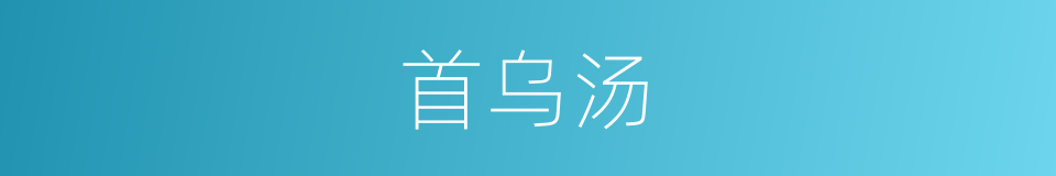 首乌汤的同义词