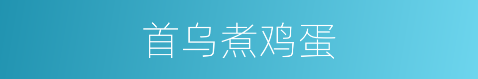 首乌煮鸡蛋的同义词