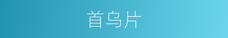 首乌片的同义词