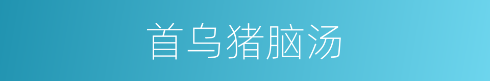 首乌猪脑汤的同义词