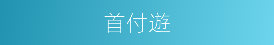 首付遊的同義詞