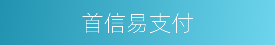 首信易支付的同义词