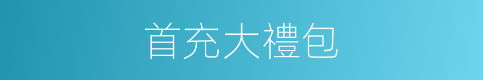 首充大禮包的同義詞