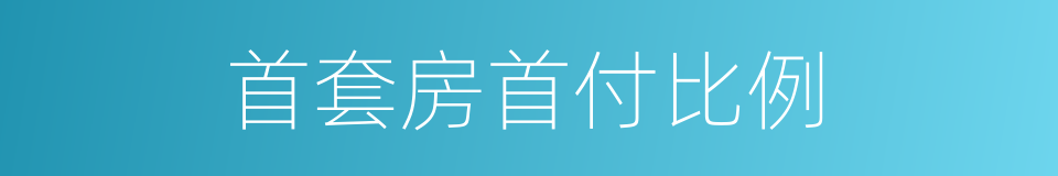 首套房首付比例的同义词