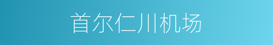 首尔仁川机场的同义词