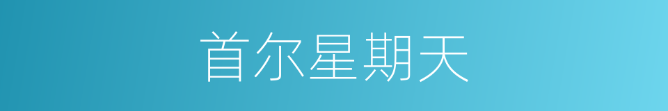 首尔星期天的同义词