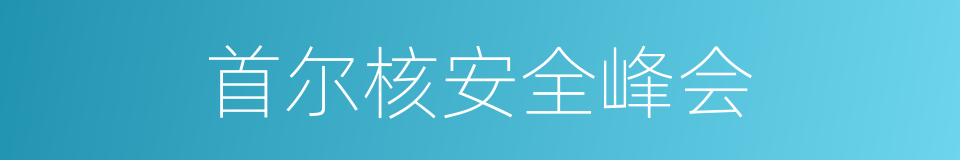 首尔核安全峰会的同义词