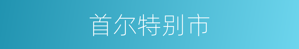 首尔特别市的同义词