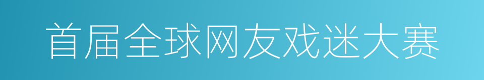 首届全球网友戏迷大赛的同义词