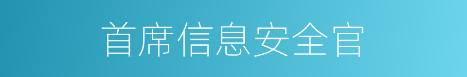 首席信息安全官的同义词