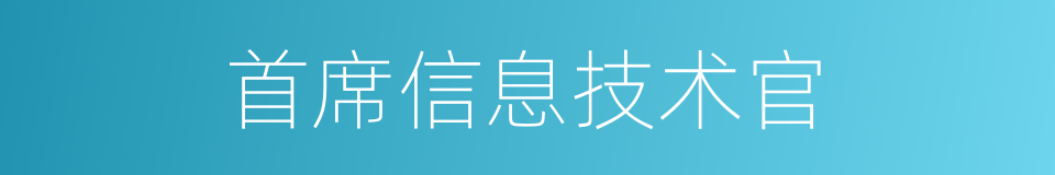 首席信息技术官的同义词