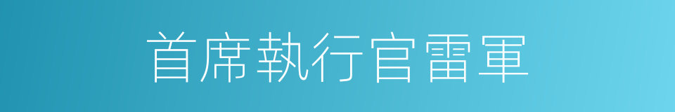 首席執行官雷軍的同義詞