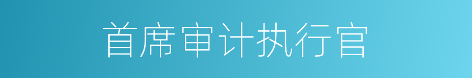 首席审计执行官的同义词